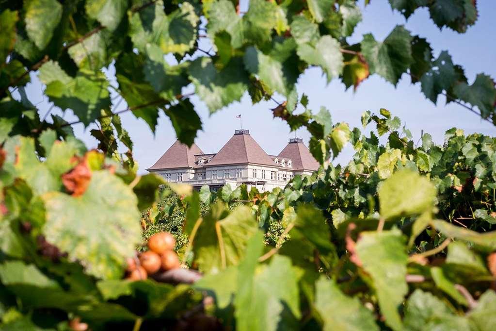Chateau Elan Winery Braselton Esterno foto