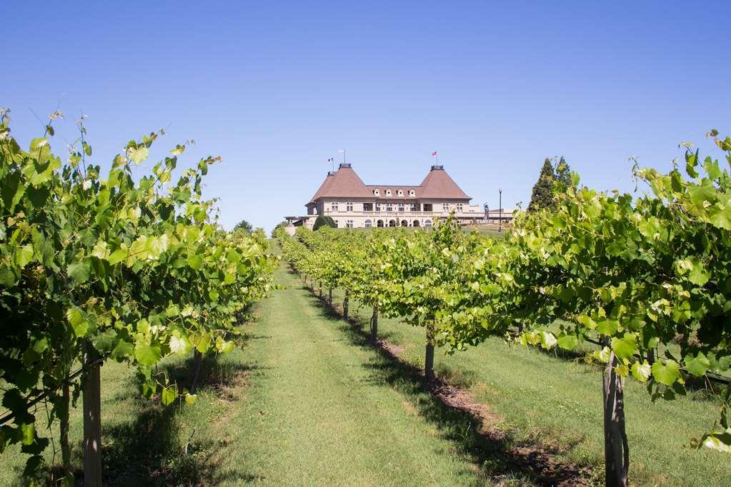 Chateau Elan Winery Braselton Esterno foto